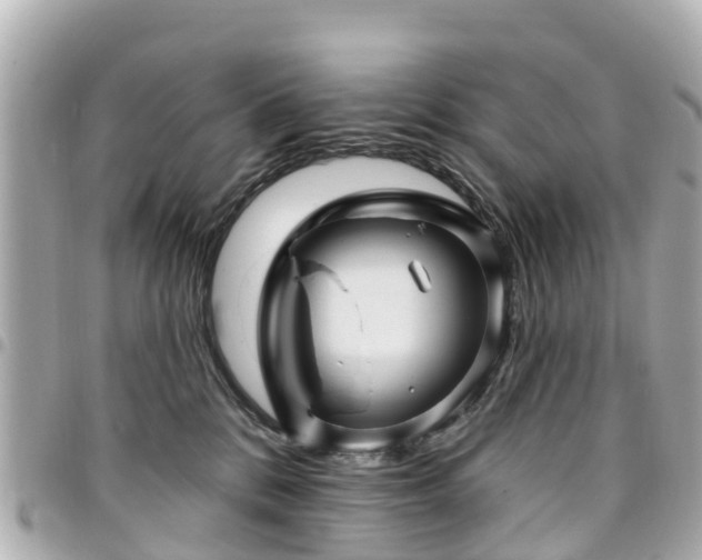 X0000094420328200711081142