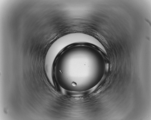 X0000094420329200711081142