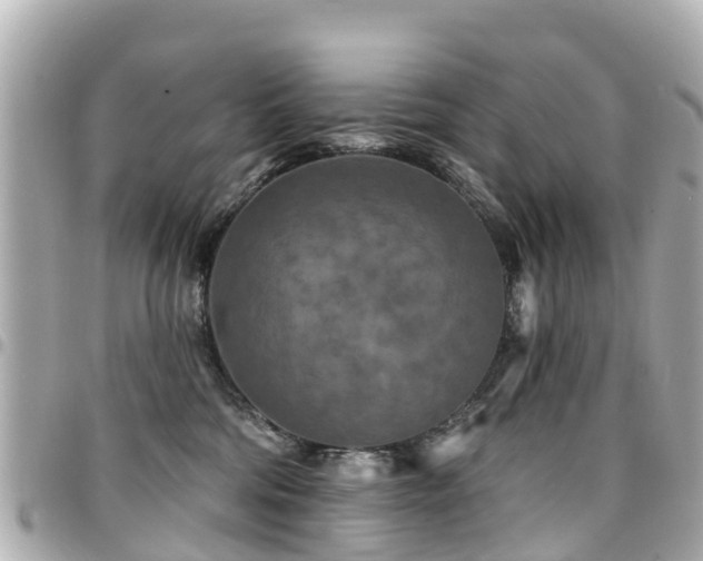 X0000094420330200711081142