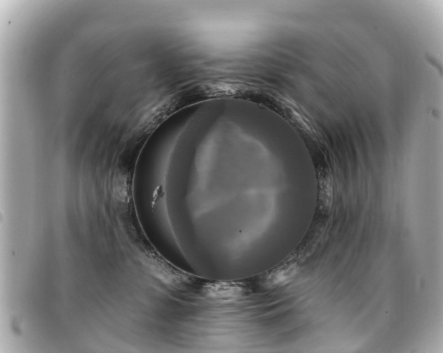 X0000094420331200711081142