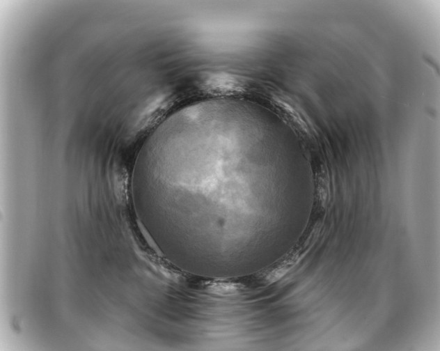 X0000094420332200711081142