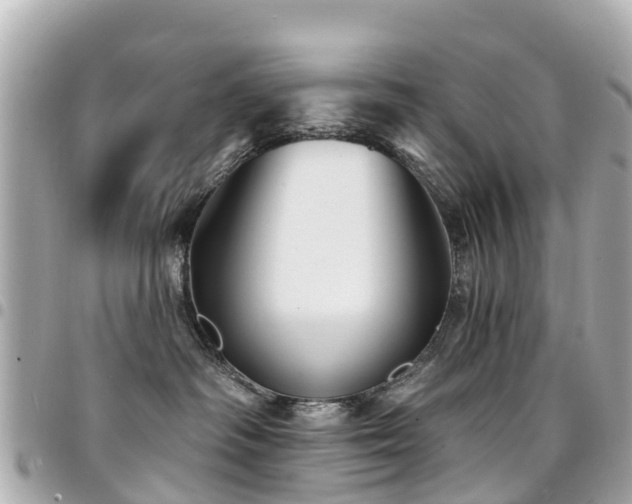X0000094420334200711081141