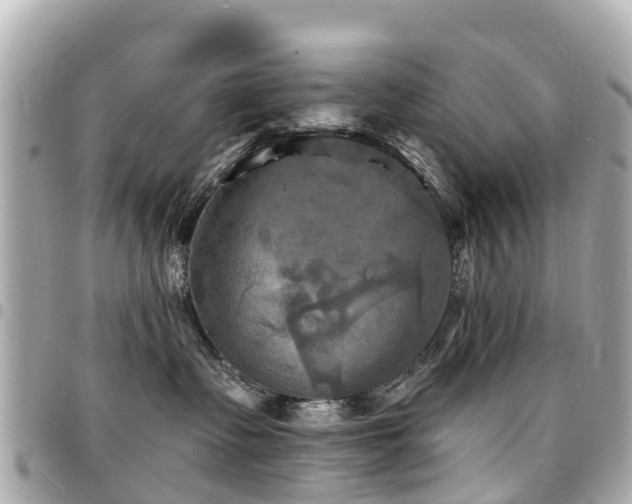 X0000094420335200711081141