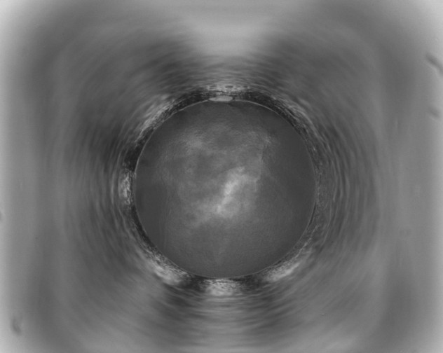 X0000094420336200711081141