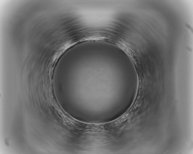 X0000094420337200711081141