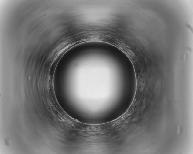 X0000094420338200711081141