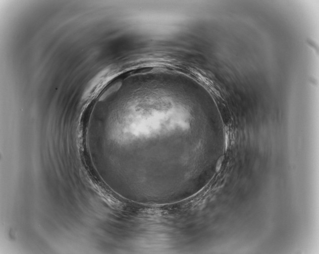 X0000094420339200711081141