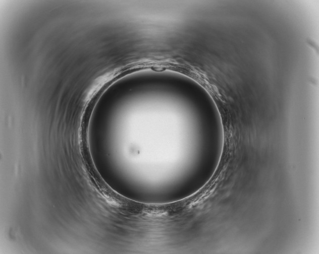 X0000094420340200711081141