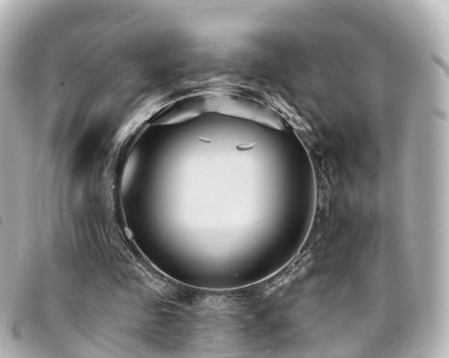 X0000094420341200711081141