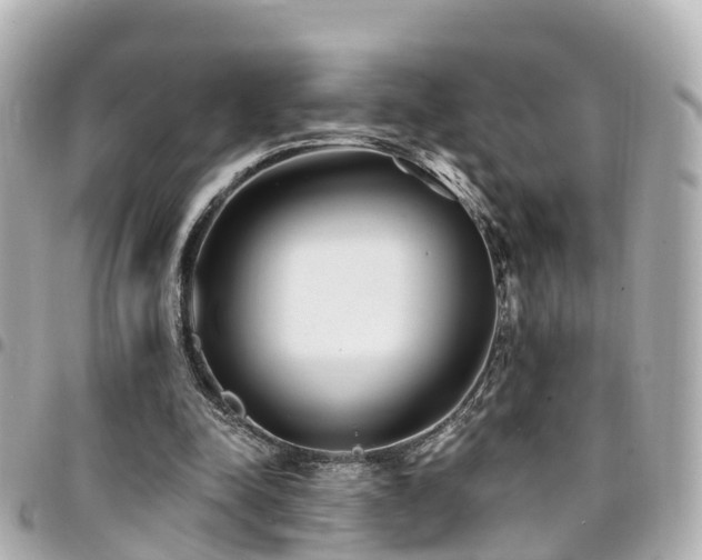 X0000094420342200711081141