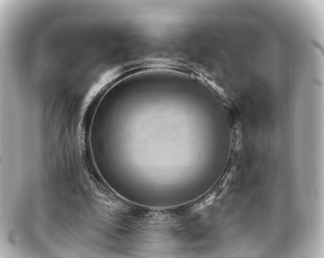 X0000094420343200711081141