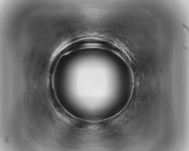 X0000094420344200711081141