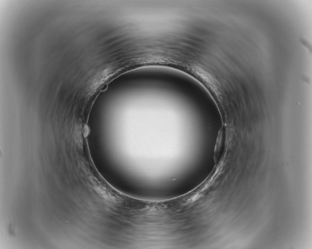 X0000094420345200711081141
