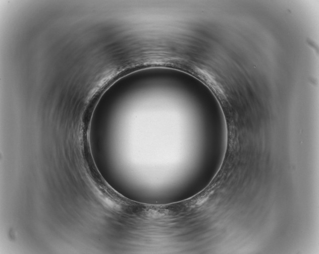 X0000094420346200711081141