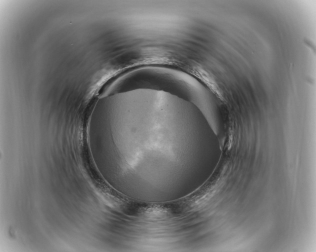 X0000094420348200711081141