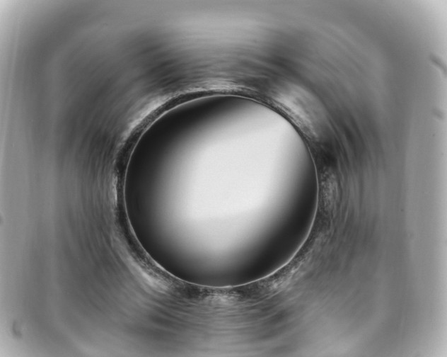 X0000094420350200711081141