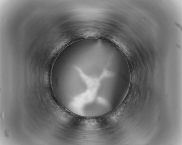 X0000094420353200711081141