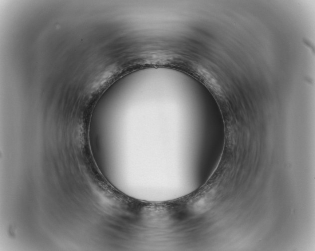 X0000094420354200711081141