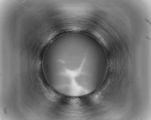X0000094420355200711081141