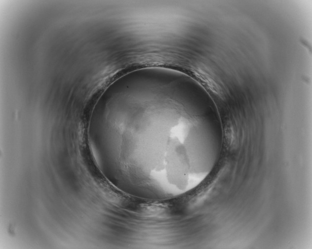 X0000094420359200711081141