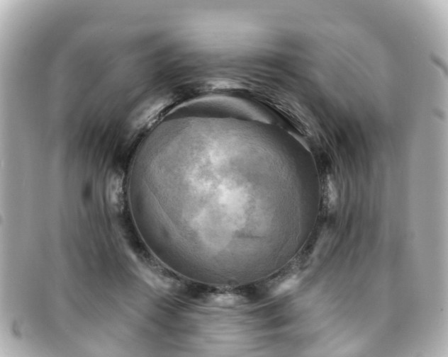 X0000094420360200711081141