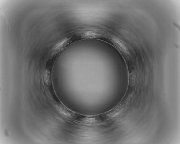 X0000094420361200711081141