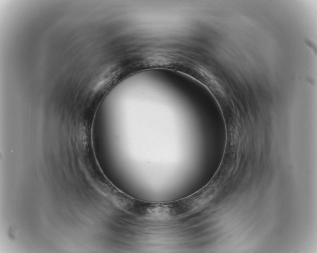 X0000094420362200711081141