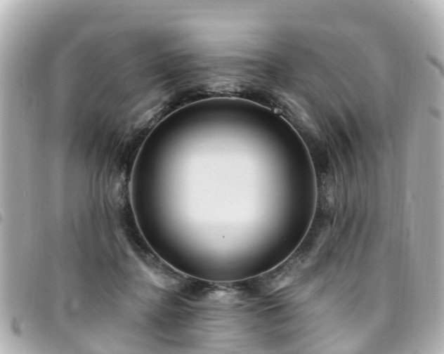 X0000094420364200711081141
