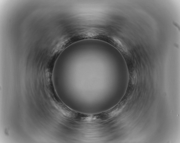 X0000094420366200711081141