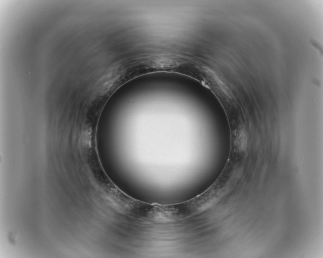 X0000094420368200711081141