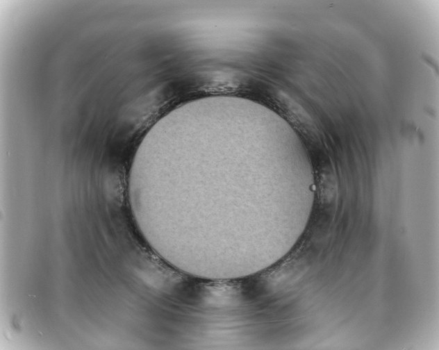 X0000094420370200711081141