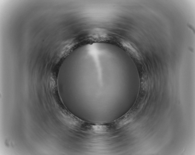 X0000094420371200711081141