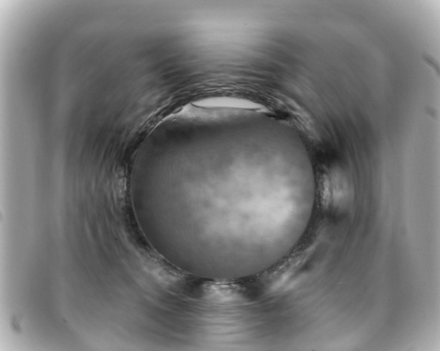 X0000094420372200711081141