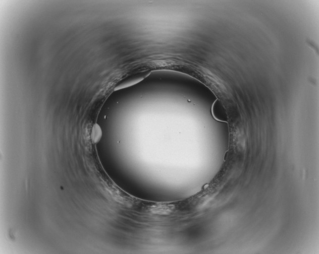 X0000094420373200711081141