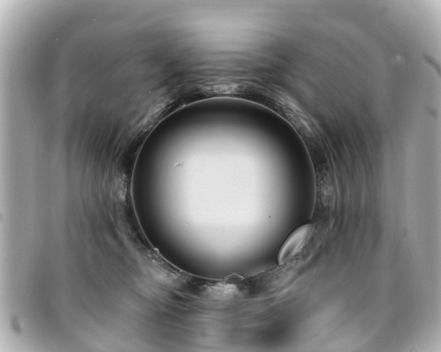 X0000094420374200711081141