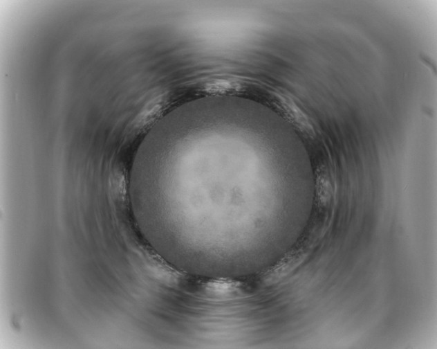 X0000094420375200711081141