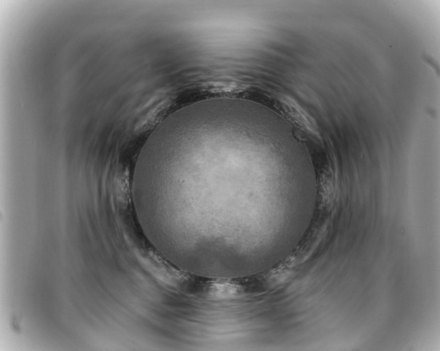 X0000094420376200711081141