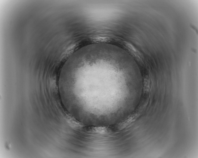 X0000094420377200711081141