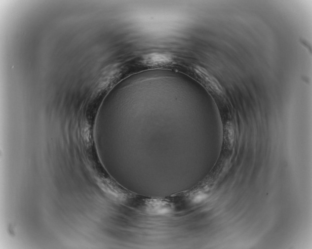 X0000094420380200711081141