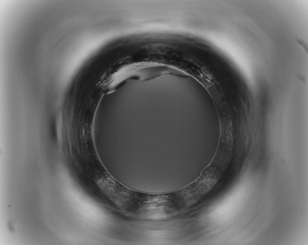 X0000094420382200711081141