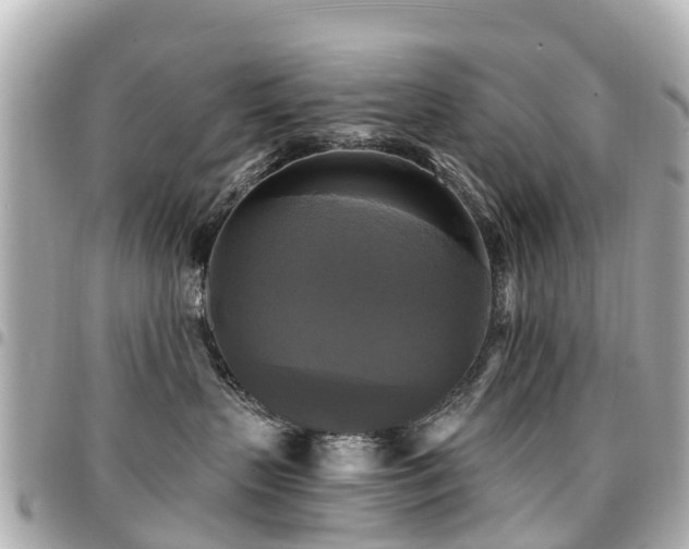 X0000094420383200711081141