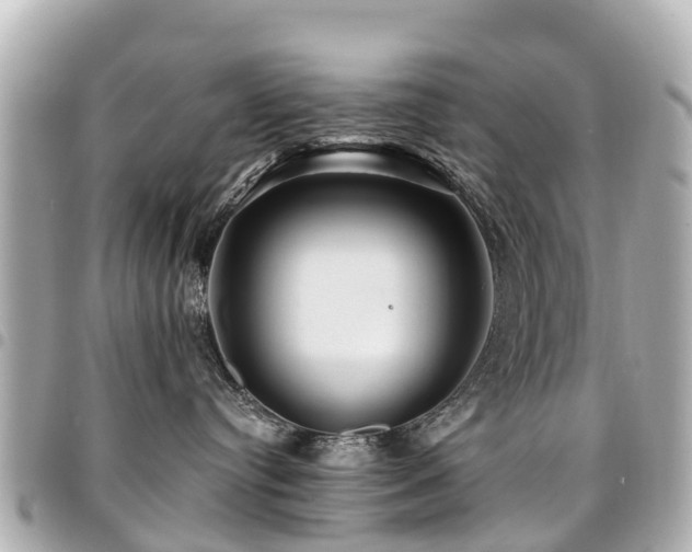 X0000094420384200711081141