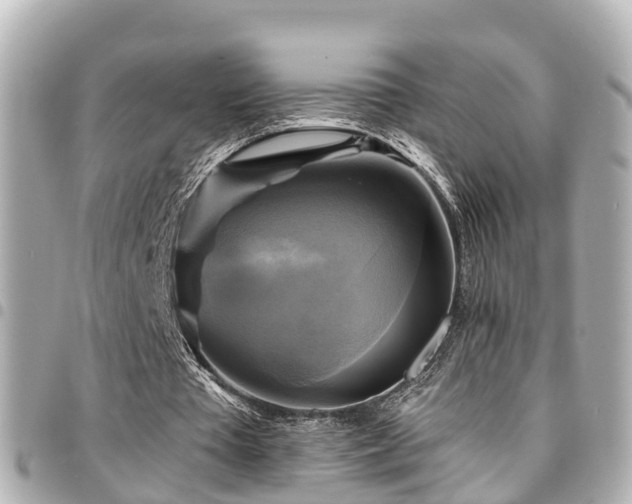 X0000094420385200711081141