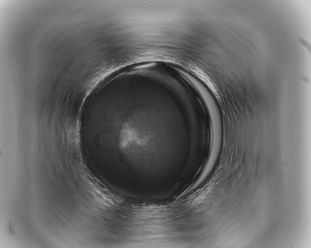 X0000094420387200711081141