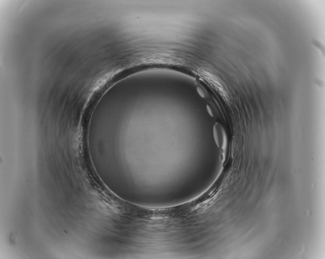 X0000094420388200711081141