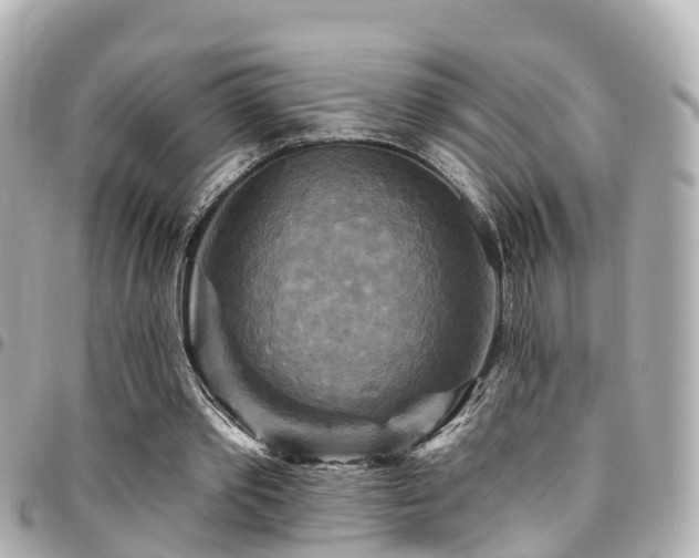 X0000094420389200711081141