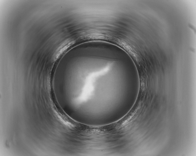 X0000094420390200711081141