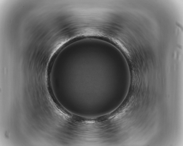X0000094420391200711081141