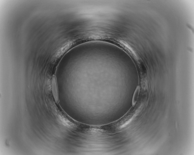 X0000094420393200711081141