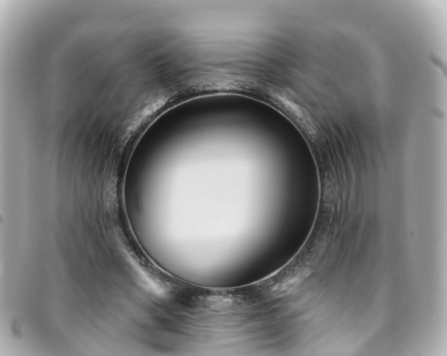 X0000094420394200711081141